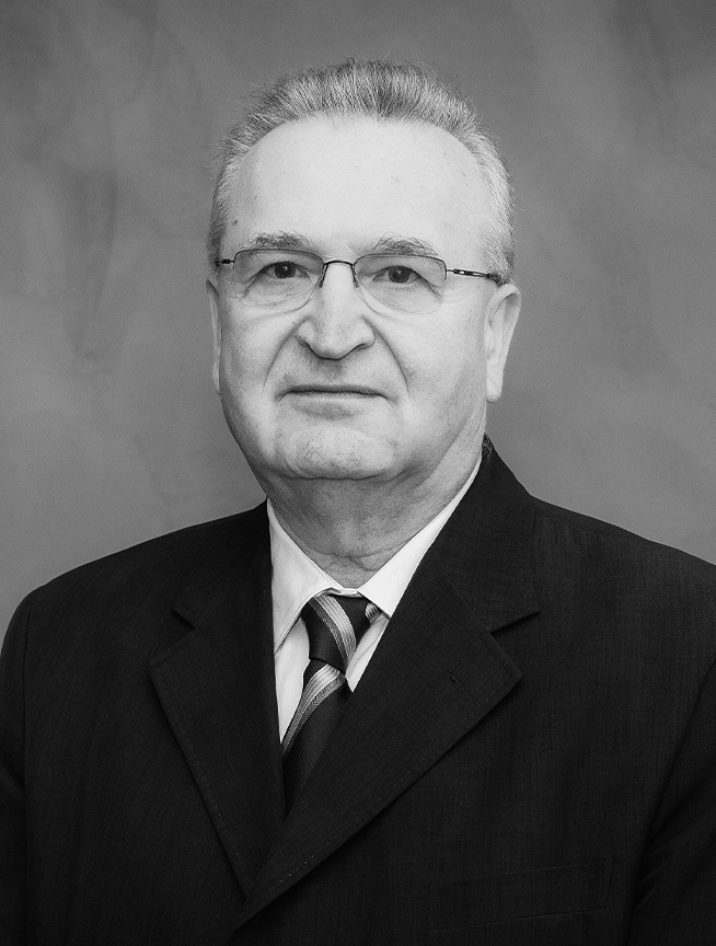 Vasile Pușcaș